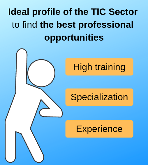 Ideal profile of TIC Sector - ENG